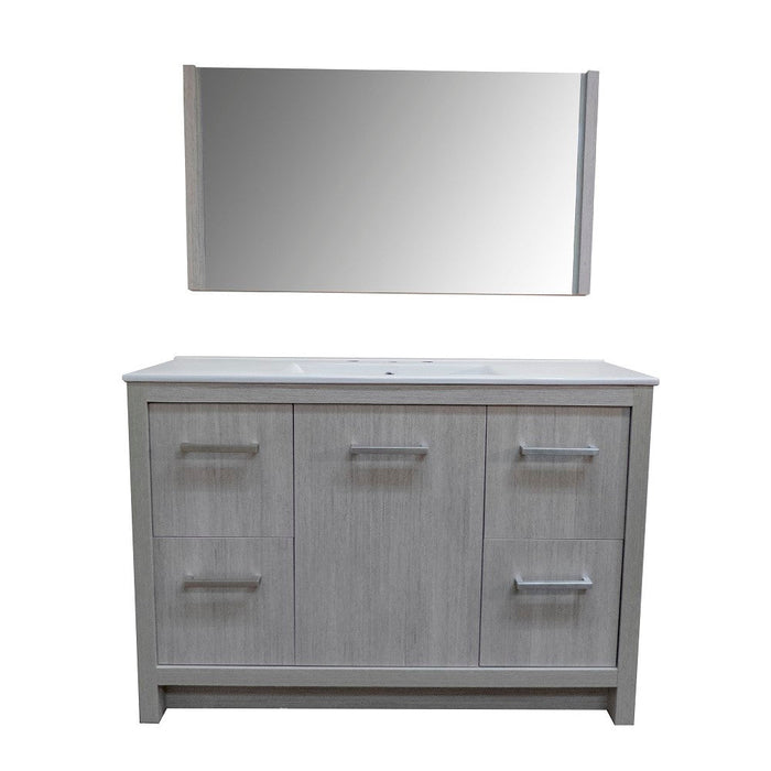 Bellaterra Home 48" 1-Door 4-Drawer Gray Freestanding Vanity Set With Ceramic Integrated Sink and Ceramic Top - Luxe Vanity & Tub