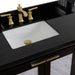 Bellaterra Home Trento 43" 2-Door 3-Drawer Black Freestanding Vanity Set - Luxe Vanity & Tub