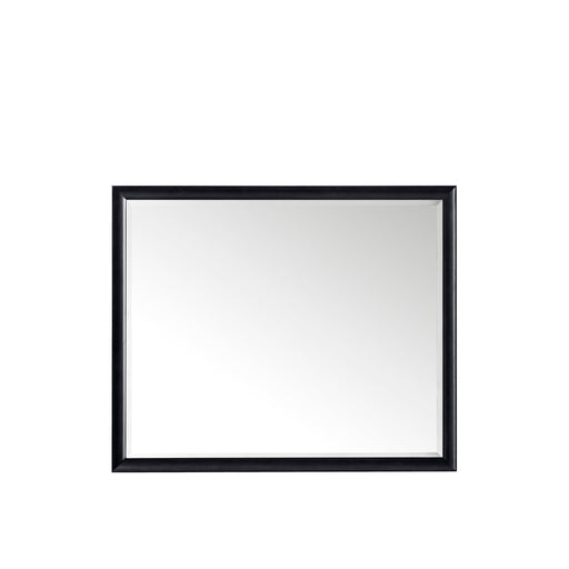 48" Glenbrooke Mirror, Black Onyx - Luxe Vanity & Tub