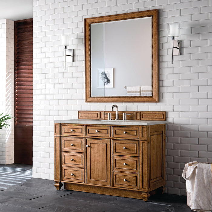 Bristol 48" Single Vanity in Saddle Brown