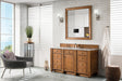 Bristol 60" Single Vanity in Saddle Brown Double bathroom Vanity James Martin Vanities Arctic Fall Solid Surface 