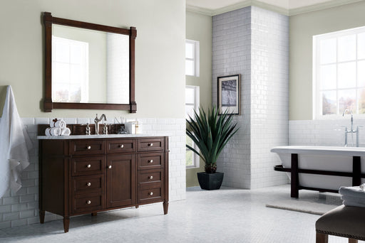 Brittany 48" Single Bathroom Vanity in Burnished Mahogany Single Bathroom Vanity James Martin Vanities Arctic Fall Solid Surface 