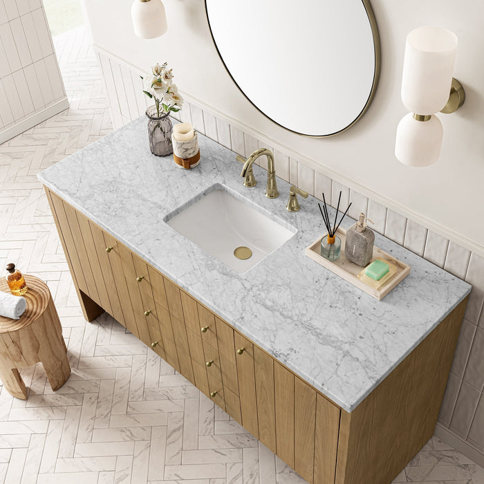 Hudson 60" Single Vanity in Light Natural Oak Double Bathroom Vanity James Martin Vanities Victorian Silver Quartz 