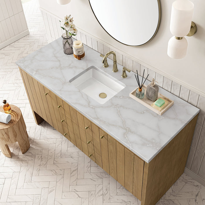 Hudson 60" Single Vanity in Light Natural Oak