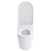 TOTO Neorest LS 0.8 / 1 GPF Dual Flush One Piece Elongated Chair Height Toilet with Integrated Smart Bidet Seat, Auto / Tornado Flush, PREMIST, and EWATER+ - Luxe Vanity & Tub