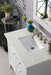 Palisades 36" Single Bathroom Vanity Single Bathroom Vanity James Martin Vanities Bright White Charcoal Soapstone Quartz 