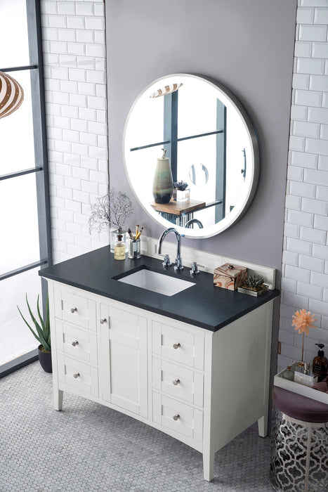 Palisades 48" Single Bathroom Vanity